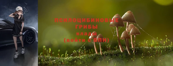 крисы Вязники