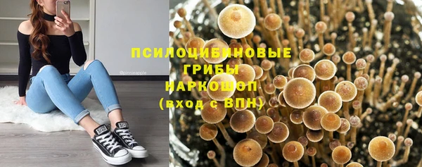кокс Шарыпово