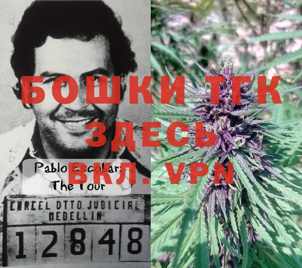 прущая мука Горняк