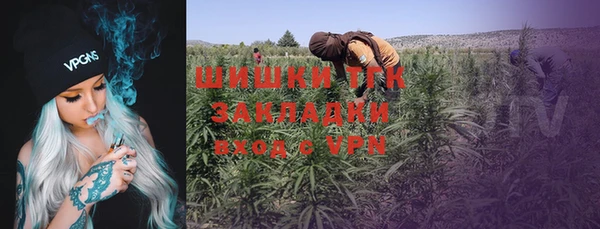 прущая мука Горняк