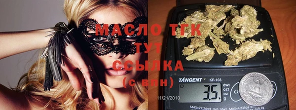 твердый Чекалин
