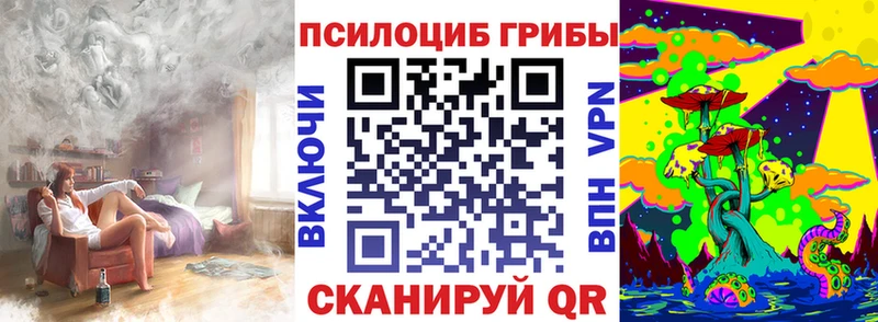 Галлюциногенные грибы Psilocybe  Елизово 