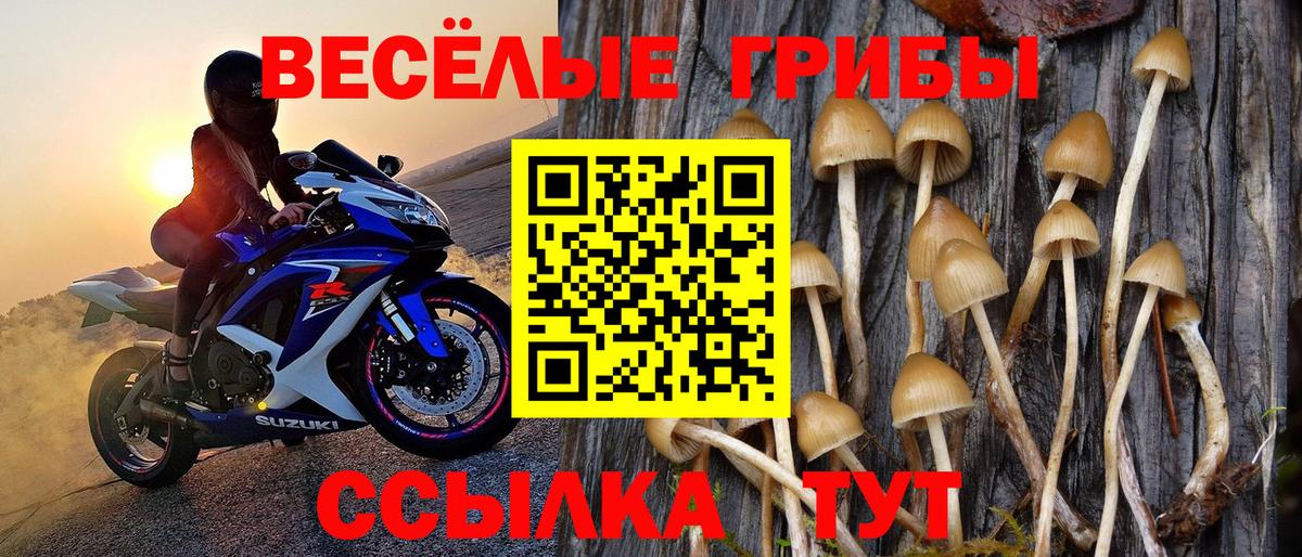 Псилоцибиновые грибы прущие грибы  Елизово 