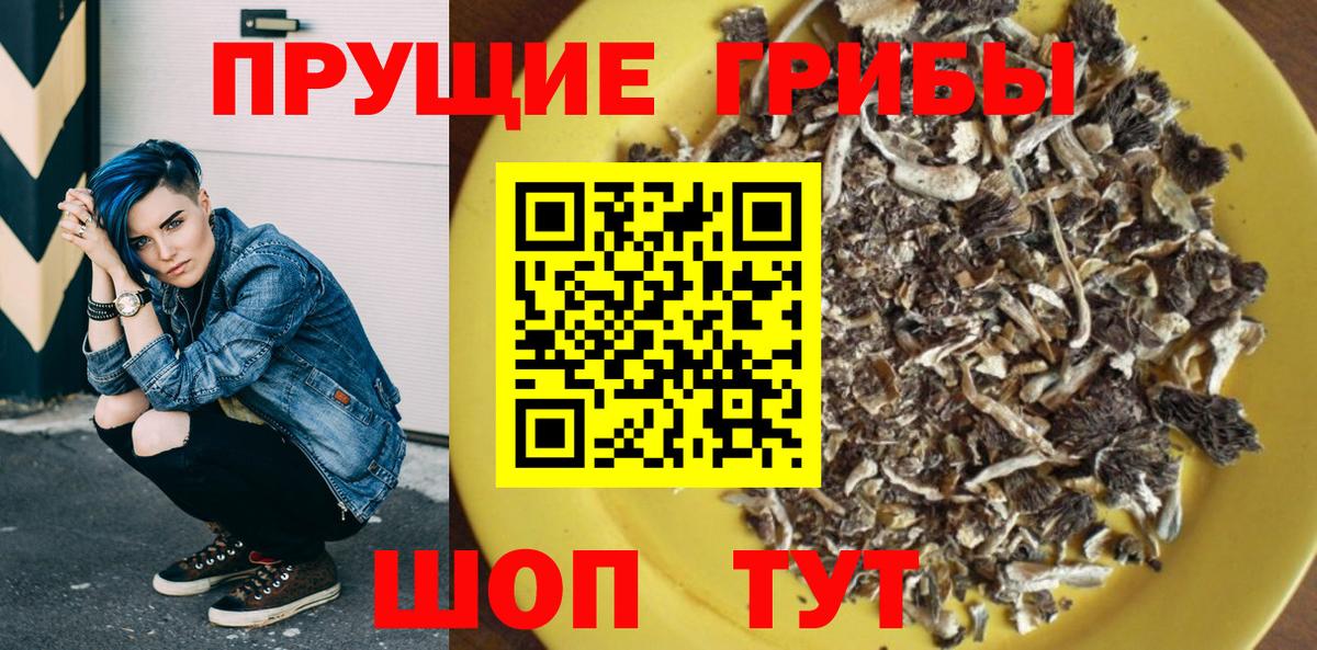 Елизово  Псилоцибиновые грибы прущие грибы  Вход с VPN 