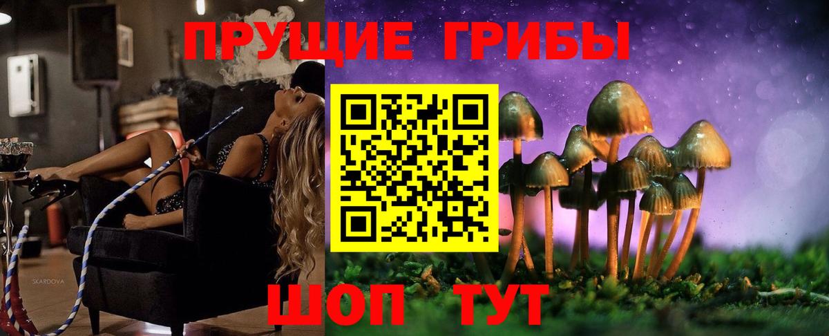 Псилоцибиновые грибы Psilocybe Елизово